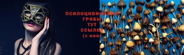 мяу мяу мука Рославль