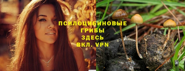spice Абаза